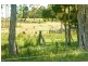 91 North Street, Elizabeth Town TAS 7304