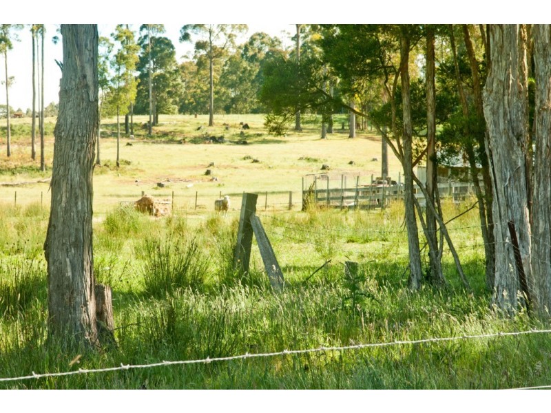91 North Street, Elizabeth Town TAS 7304