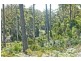 91 North Street, Elizabeth Town TAS 7304