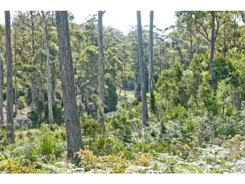 91 North Street, Elizabeth Town TAS 7304