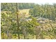 91 North Street, Elizabeth Town TAS 7304