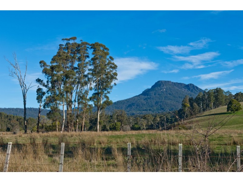 739 Quamby Brook Road, Quamby Brook TAS 7304