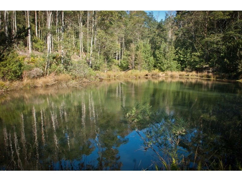 13101 Highland Lakes Road, Golden Valley TAS 7304