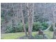 13101 Highland Lakes Road, Golden Valley TAS 7304