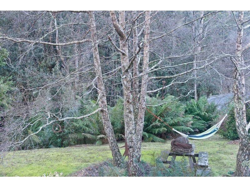 13101 Highland Lakes Road, Golden Valley TAS 7304
