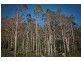13101 Highland Lakes Road, Golden Valley TAS 7304