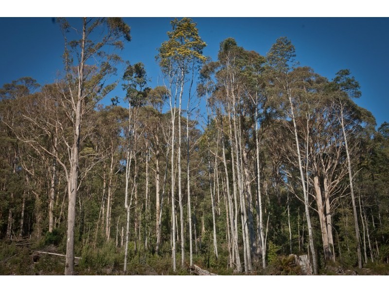 13101 Highland Lakes Road, Golden Valley TAS 7304