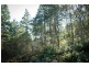 13101 Highland Lakes Road, Golden Valley TAS 7304