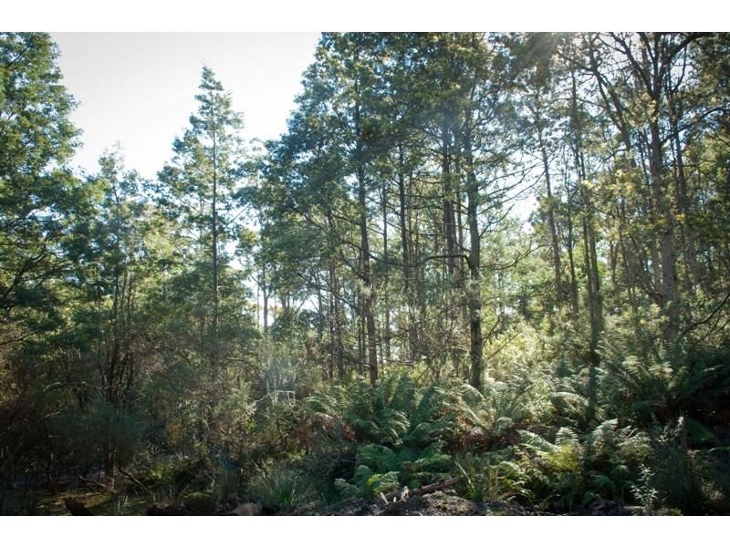 13101 Highland Lakes Road, Golden Valley TAS 7304