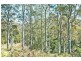 164 Mayberry Road, Mayberry TAS 7304