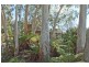 1876 Mole Creek Road, Mole Creek TAS 7304
