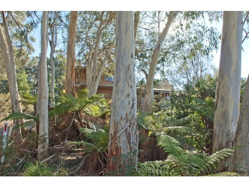1876 Mole Creek Road, Mole Creek TAS 7304