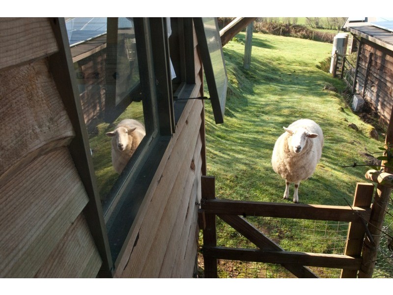 1876 Mole Creek Road, Mole Creek TAS 7304