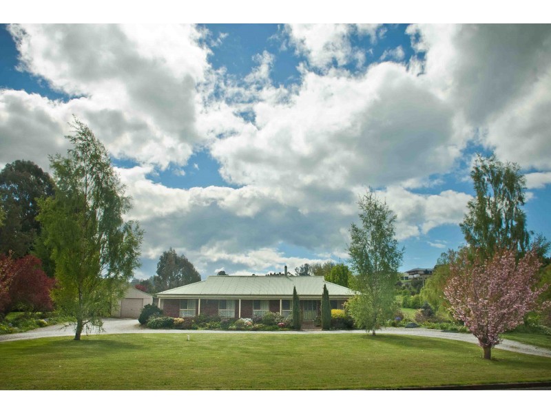 17 Beefeater Street, Deloraine TAS 7304