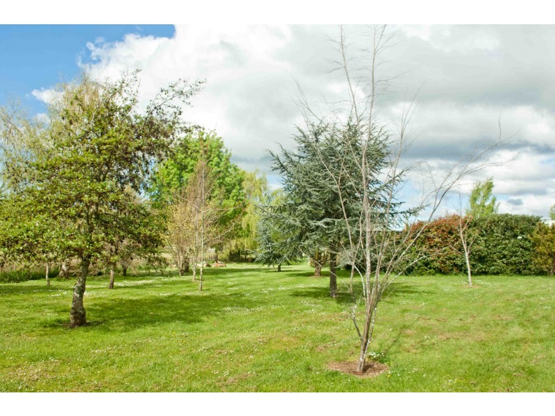 17 Beefeater Street, Deloraine TAS 7304
