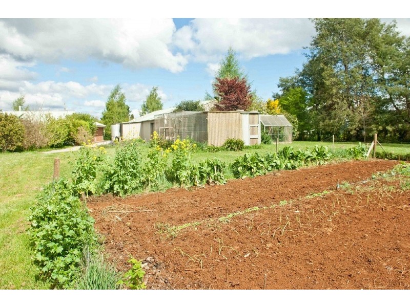 17 Beefeater Street, Deloraine TAS 7304