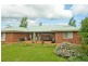 17 Beefeater Street, Deloraine TAS 7304
