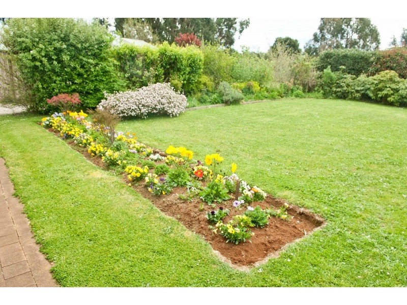 17 Beefeater Street, Deloraine TAS 7304