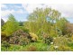 17 Beefeater Street, Deloraine TAS 7304