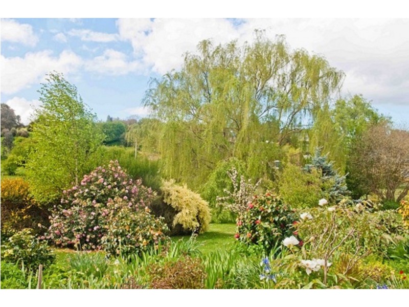 17 Beefeater Street, Deloraine TAS 7304