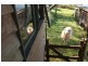 1876 Mole Creek Road, Mole Creek TAS 7304