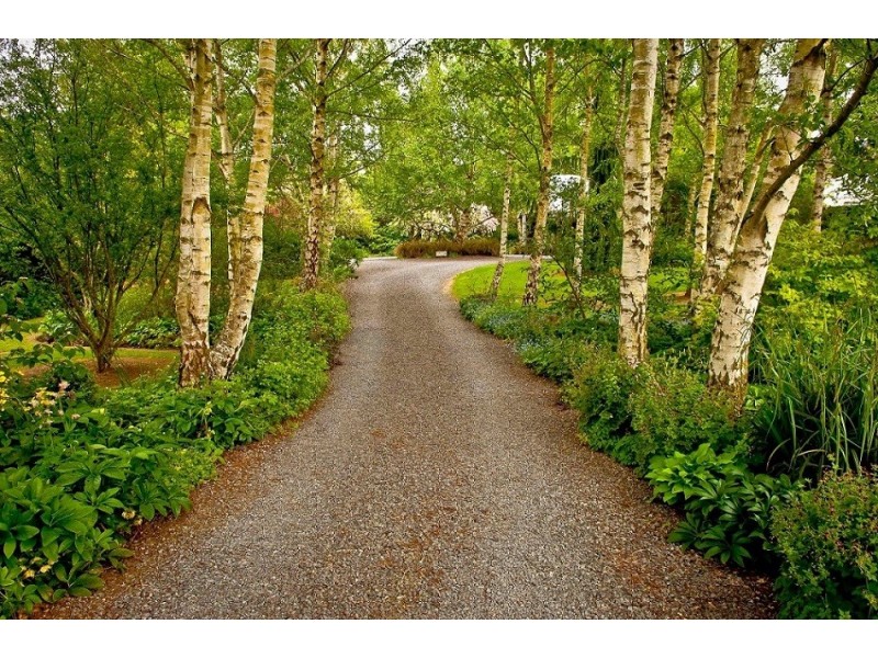 80 Den Road, Mole Creek TAS 7304