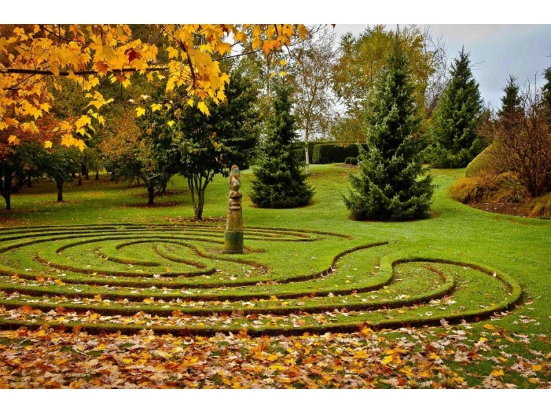 80 Den Road, Mole Creek TAS 7304