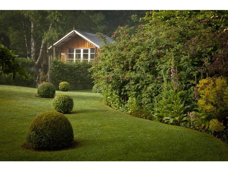 80 Den Road, Mole Creek TAS 7304