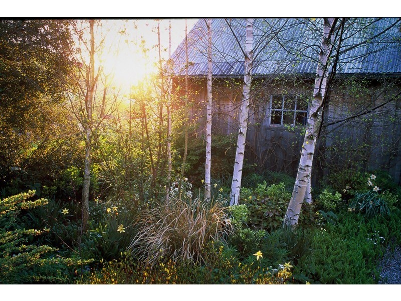 80 Den Road, Mole Creek TAS 7304