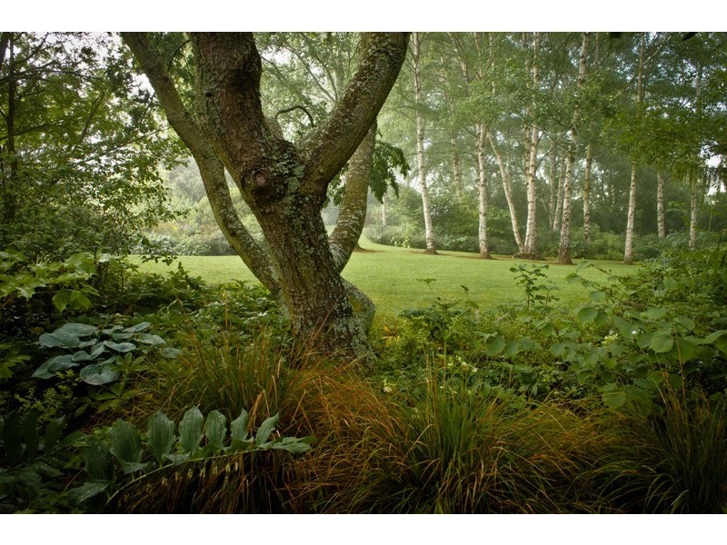 80 Den Road, Mole Creek TAS 7304