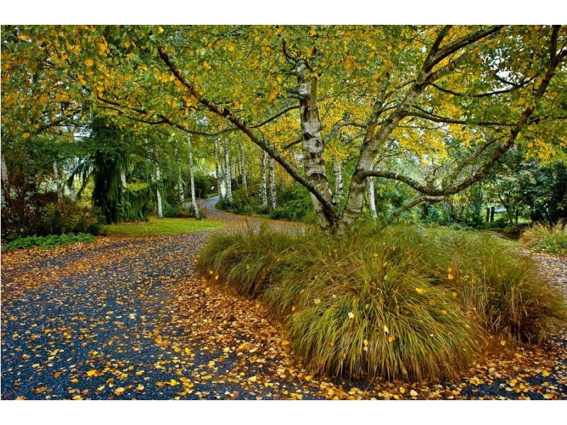 80 Den Road, Mole Creek TAS 7304