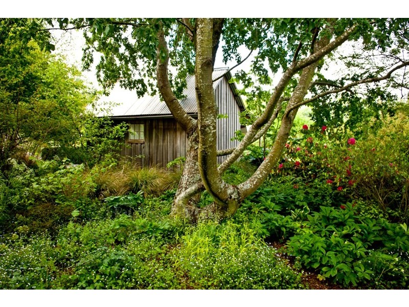 80 Den Road, Mole Creek TAS 7304