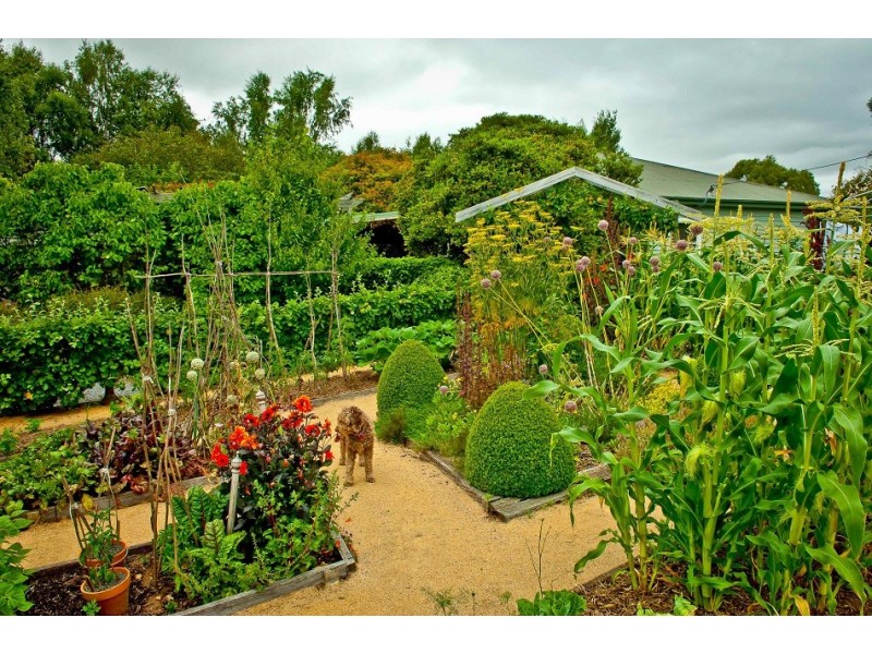 80 Den Road, Mole Creek TAS 7304