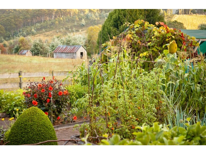 80 Den Road, Mole Creek TAS 7304