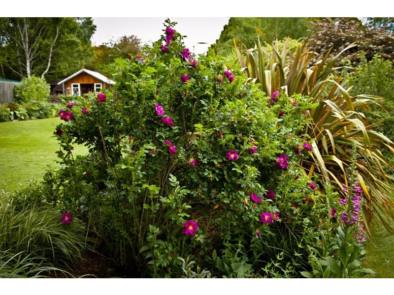 80 Den Road, Mole Creek TAS 7304