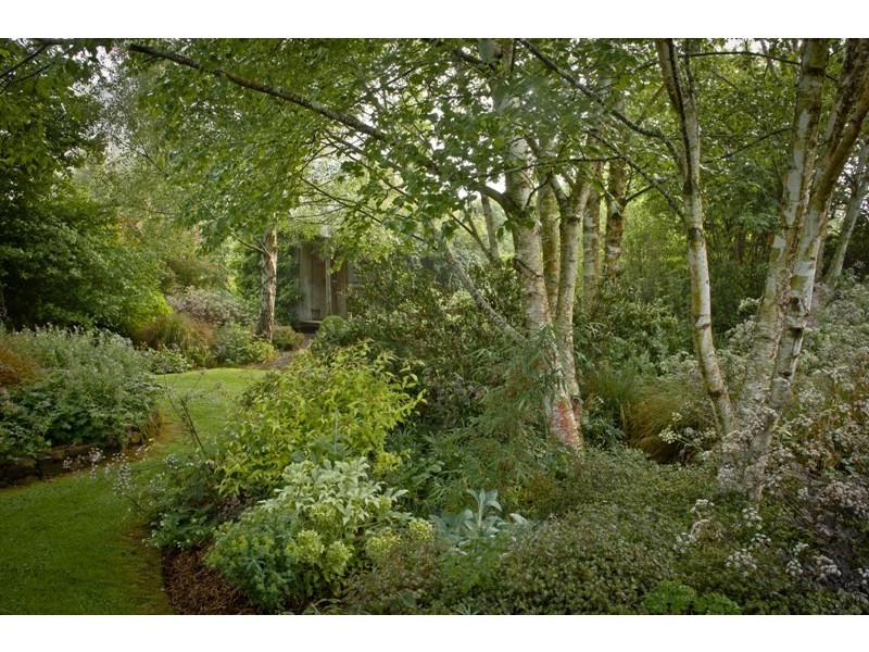 80 Den Road, Mole Creek TAS 7304