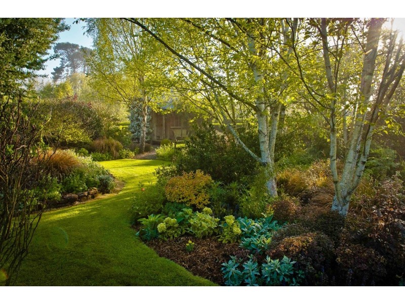 80 Den Road, Mole Creek TAS 7304