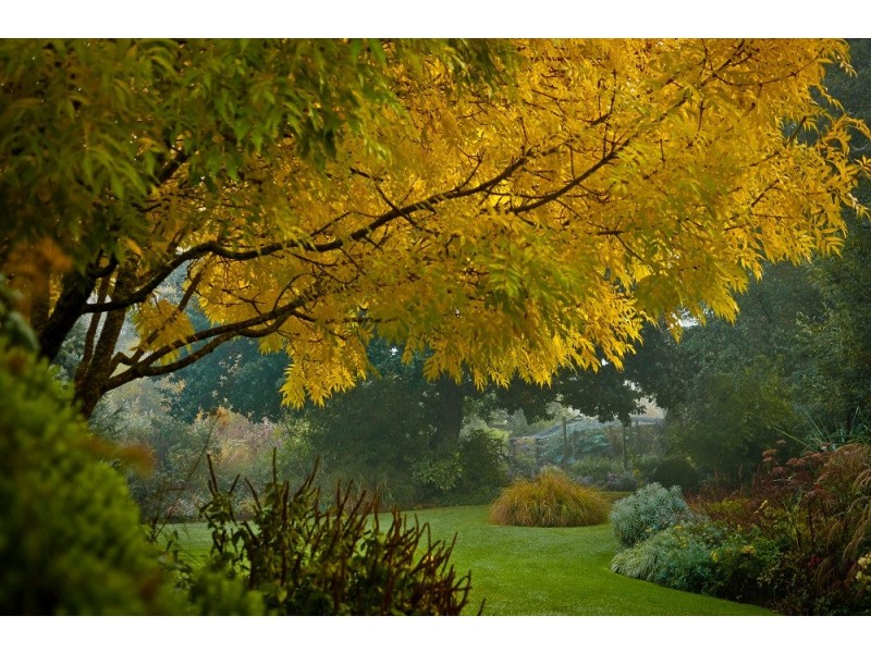 80 Den Road, Mole Creek TAS 7304