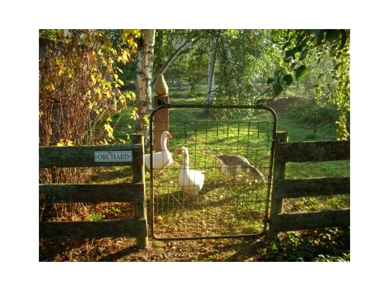 80 Den Road, Mole Creek TAS 7304