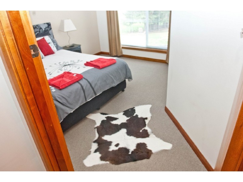 58 Caveside Road, Mole Creek TAS 7304