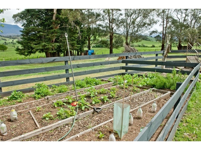 58 Caveside Road, Mole Creek TAS 7304