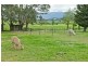 58 Caveside Road, Mole Creek TAS 7304