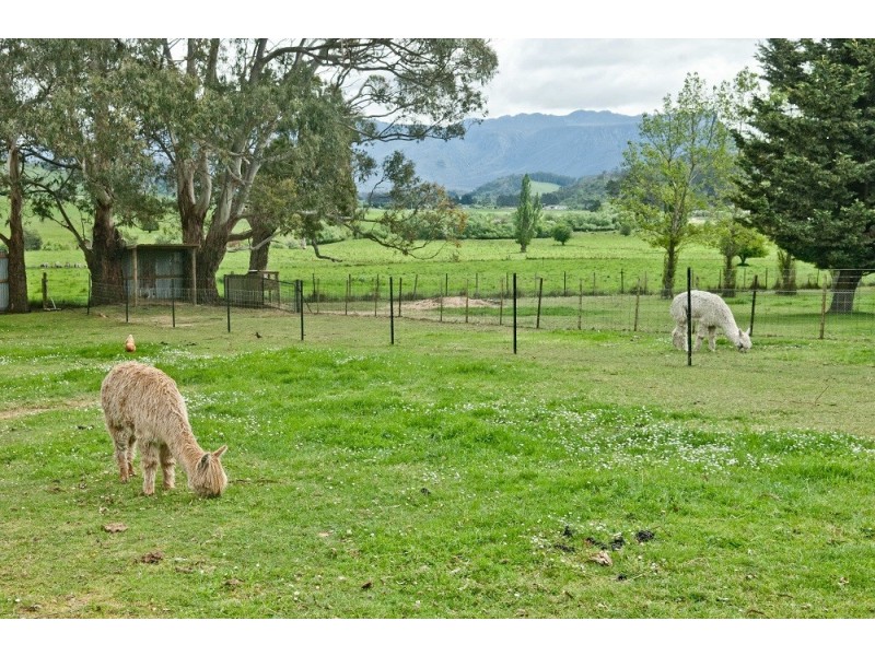 58 Caveside Road, Mole Creek TAS 7304