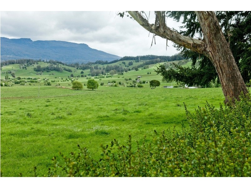 58 Caveside Road, Mole Creek TAS 7304