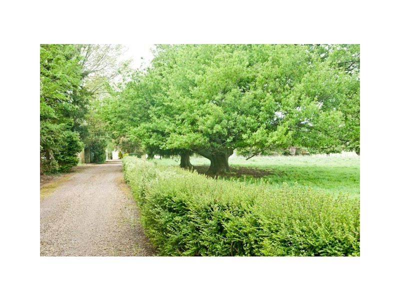 58 Caveside Road, Mole Creek TAS 7304