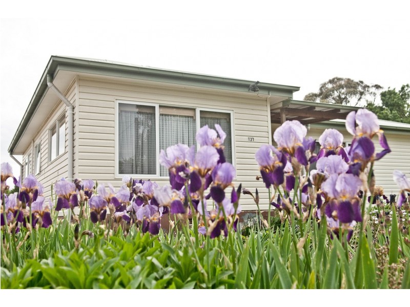 131 Dexter Street, Westbury TAS 7303