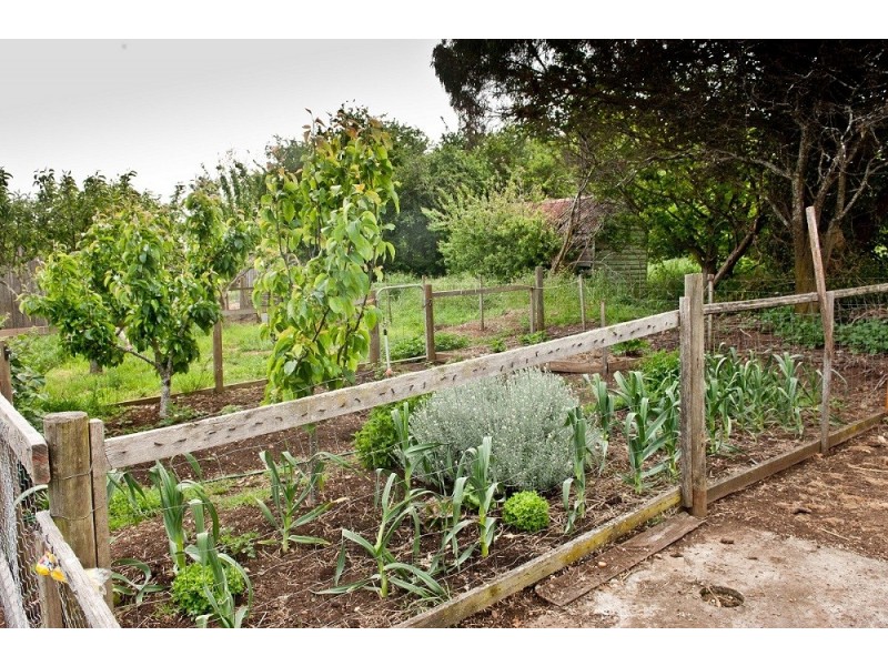 131 Dexter Street, Westbury TAS 7303