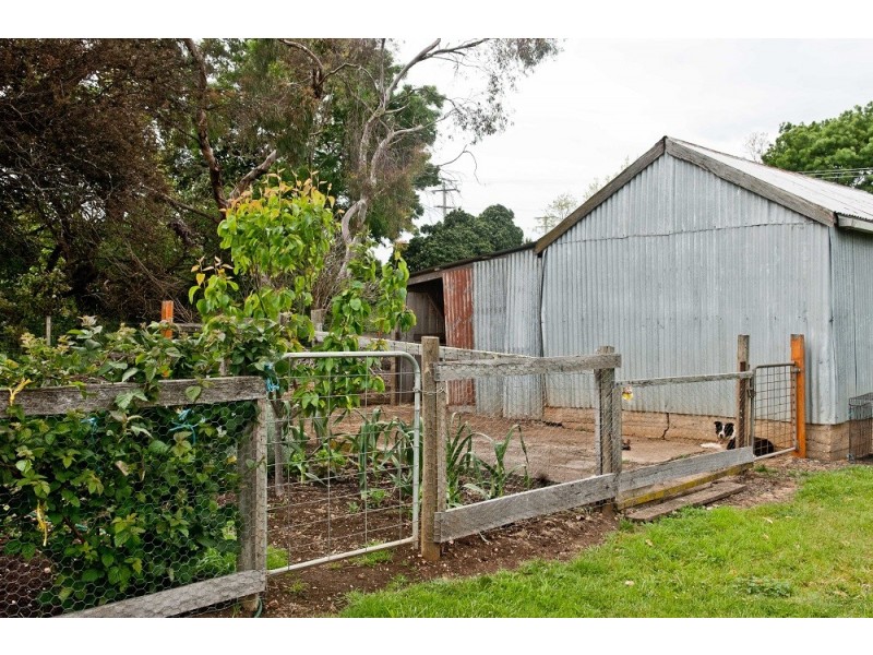 131 Dexter Street, Westbury TAS 7303