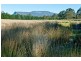 1363 Bogan Road, Golden Valley TAS 7304