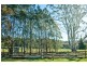 1363 Bogan Road, Golden Valley TAS 7304
